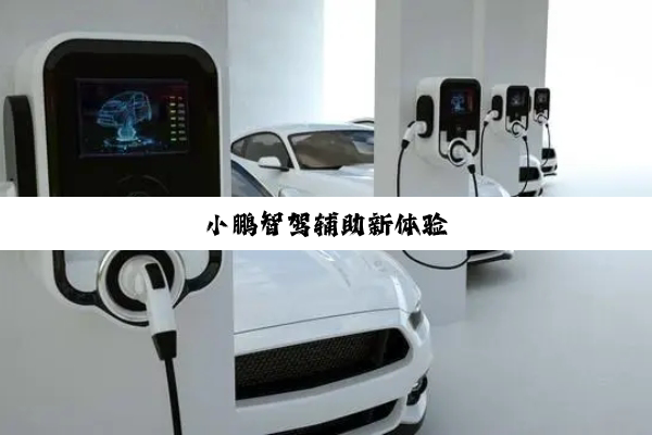 小鹏智驾辅助新体验