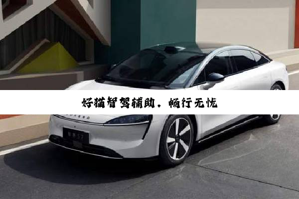 好猫智驾辅助，畅行无忧