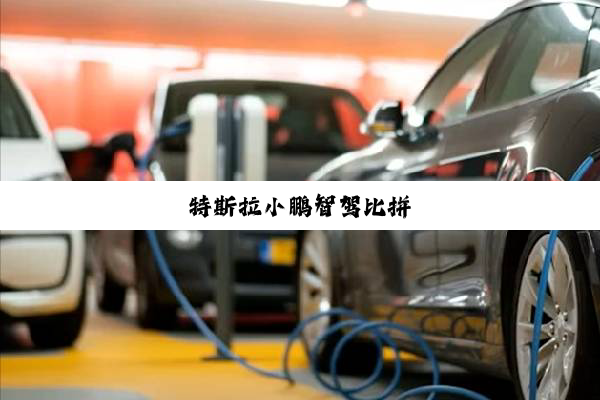 特斯拉小鹏智驾比拼