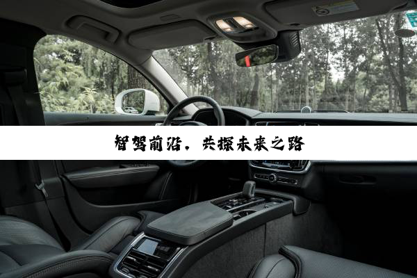 智驾前沿，共探未来之路