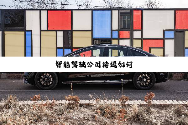 智能驾驶公司待遇如何